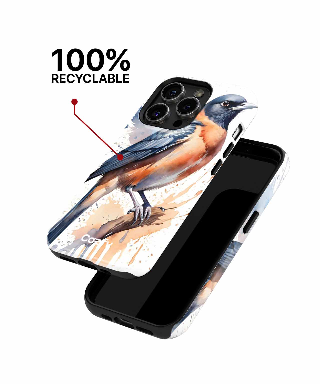 Vibrant Feathered Friend on a Branch iPhone case Case Cazify - Delivery Canada